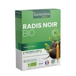 SANTAROME ARTICHAUT RADIS NOIR 20AMP