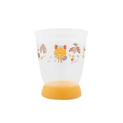 BB CONF VERRE - WOODCAMP 5259