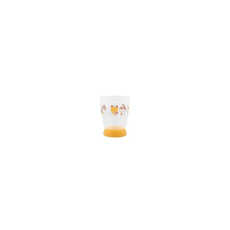 BB CONF VERRE - WOODCAMP 5259