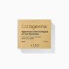 Collagenina Night Cream with 6 Collagens-gr.2